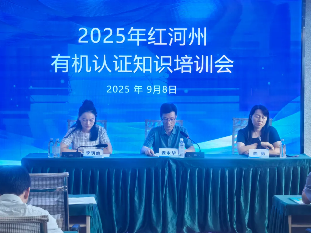 02027bbe-af9d-4966-ac51-1f9f93d1d865.png
