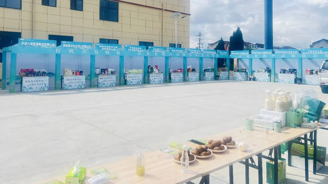 1761113578298784.png a13c1088dc47f12b3fe1cd3b983cb7c8.png