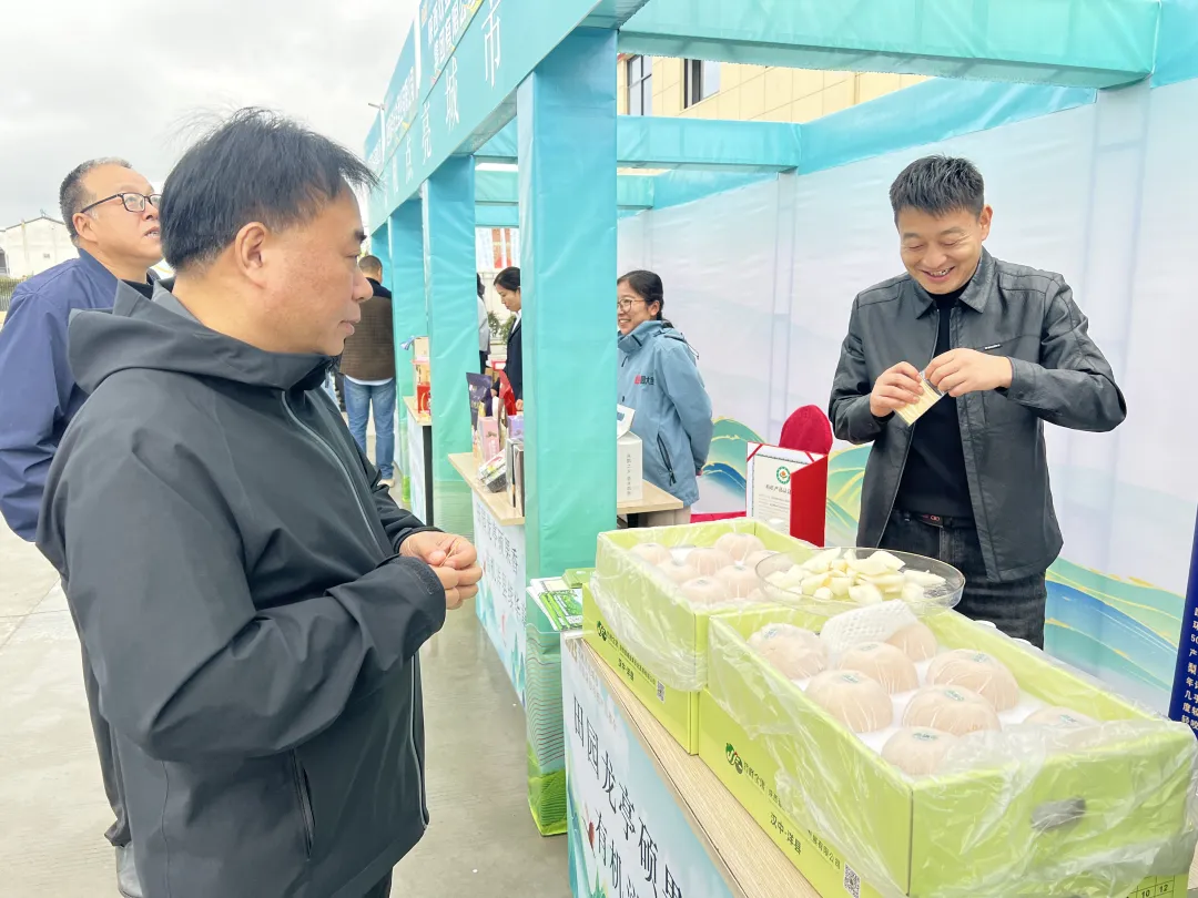 1761113596817911.png 1539af5cc44c7b2bbd6454f3ea5941f9.png